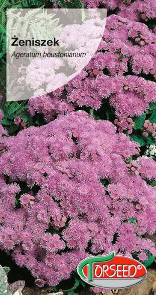 Meksikas agerāts rozā Pink Ball 0,25 g Torseed   A.P.